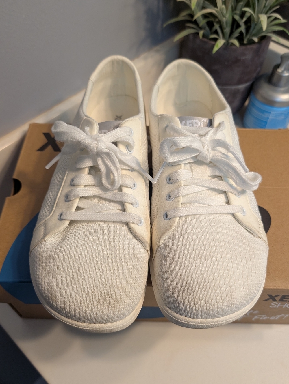 Xero Dillion Canvas